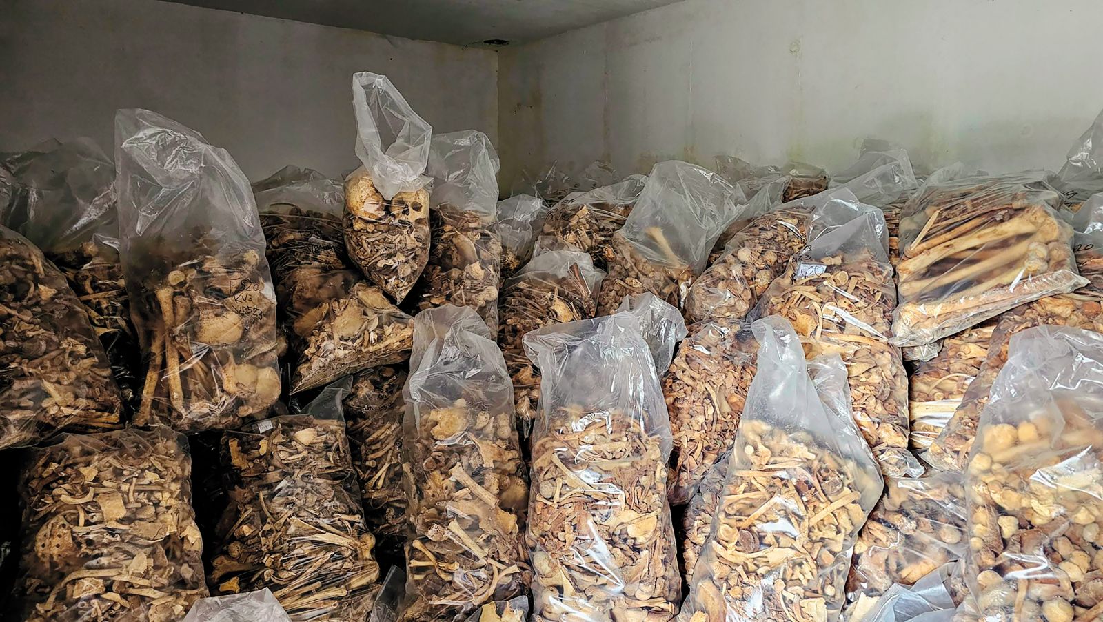 Posmrtni ostanki žrtev, zbrani v plastičnih vrečah, v katerih so bili prej spravljeni tudi v garaži kočevske komunale, so zakrožili po družbenih omrežjih. Fotografijo je poobjavil tudi Janez Janša.