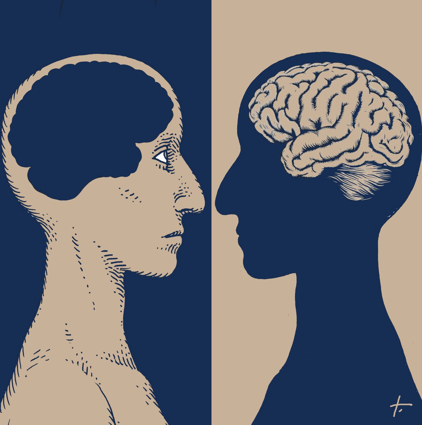 Komentar / Pamet naše pameti