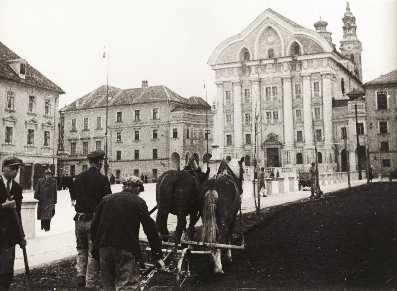 Pozor, kultura