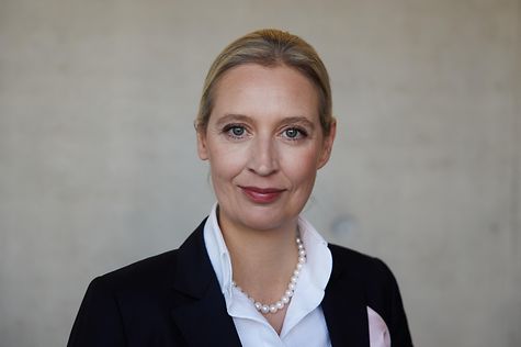 Kaj je prvi pogoj za vzpon skrajne desnice?