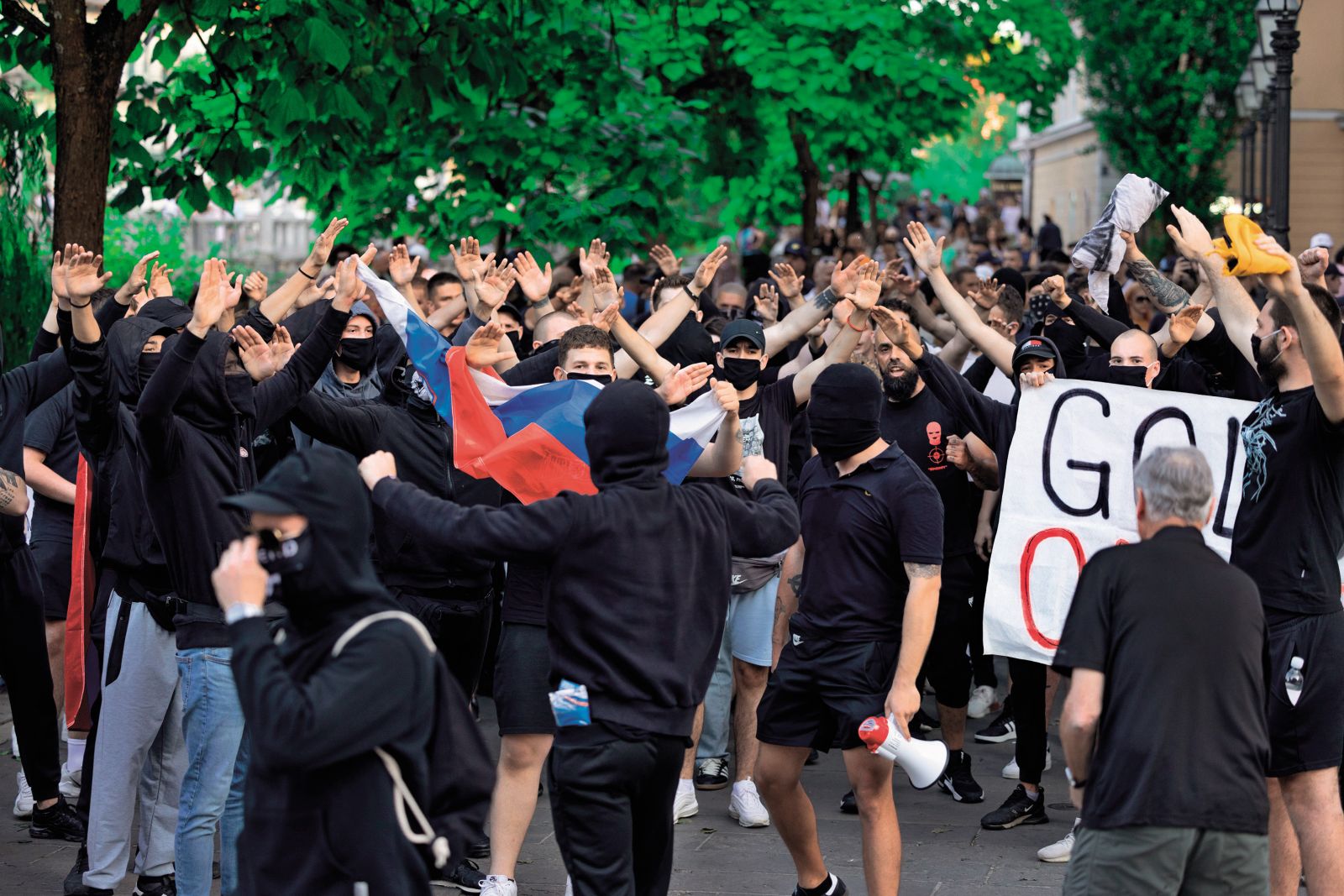 Člani stranke SDS so se povezali z mladimi ekstremisti, ki po ulicah lovijo tujce in se zavzemajo za čisto Slovenijo. Na fotografiji njihov mimohod po Ljubljani z iztegovanjem rok junija 2024