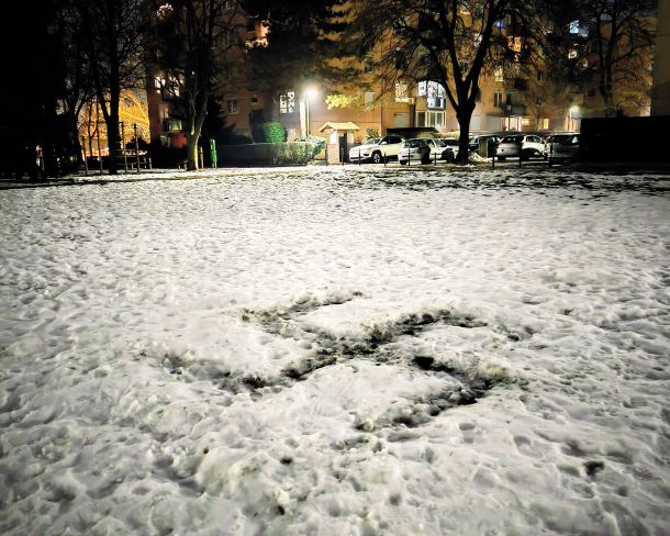 Kljukasti križ v snegu na zelenici enega izmed ljubljanskih blokovskih naselij