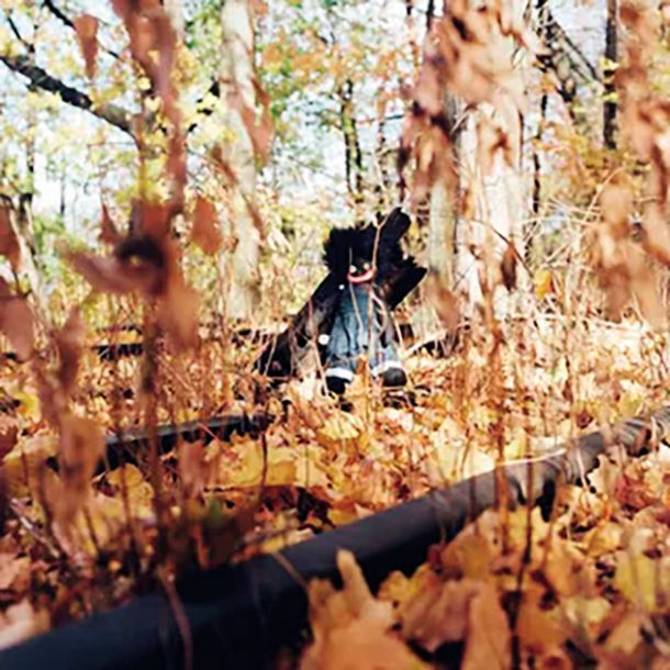 billy woods: GOLLIWOG