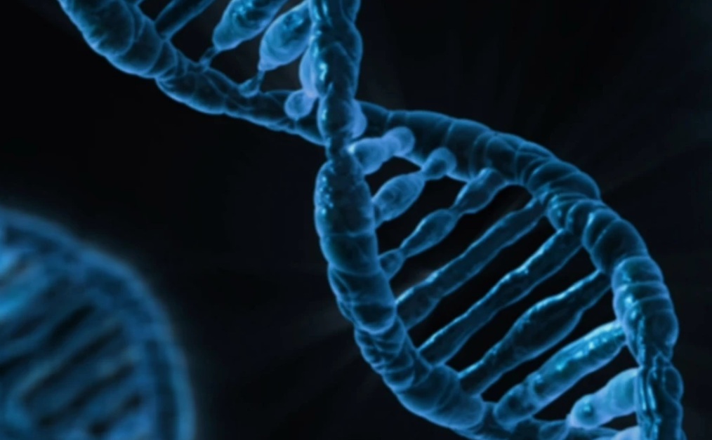 Slovenski raziskovalci odkrili dva nova genetska vzroka bolezni pri človeku