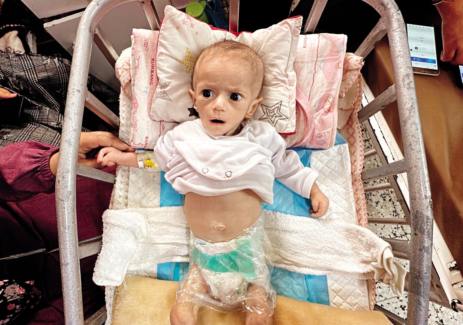 Šestmesečna Sivar Ašur. Pri njeni starosti naj bi imela okoli šest kilogramov, ona ima komaj dva.