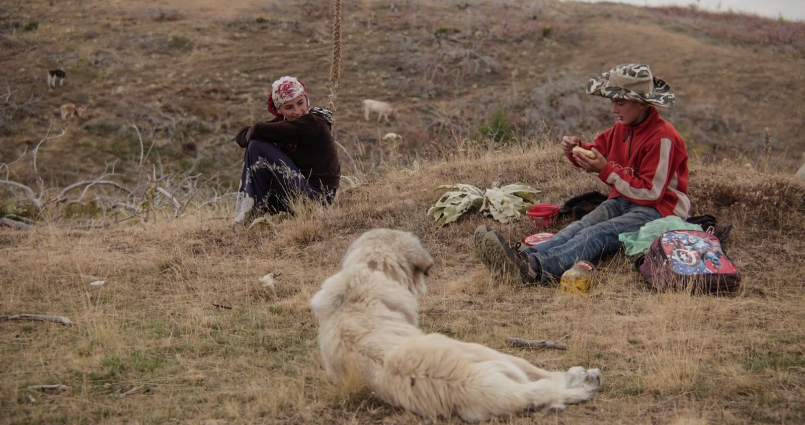 Film Petre Seiškar nagrajen v Mehiki