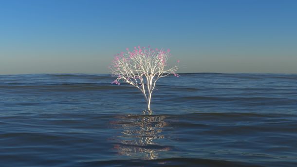 Stefano Garbuglia: Haru No Umi, 2024