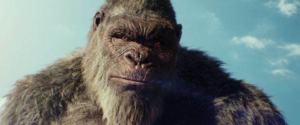 Ziva VFX,  nagrajeno programsko orodje za ustvarjanje tridimenzionalnih likov za film, je bilo med drugim uporabljeno tudi v spektaklu Godzilla in Kong: Novi imperij.