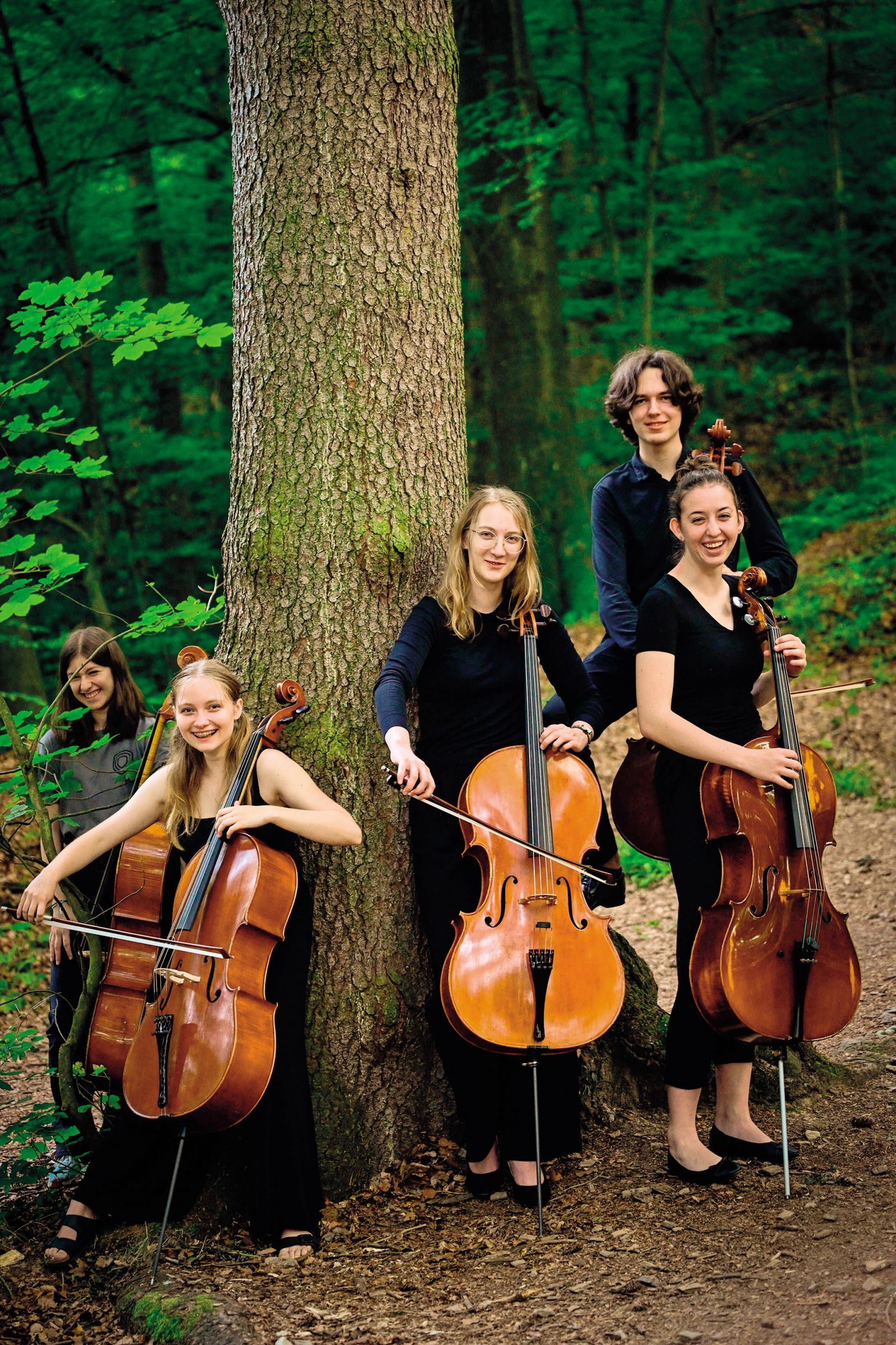 Lisička je prav zvita zver; E-Art, Festival Prisluhi v Mestnem gozdu Celje | Marko Pigac