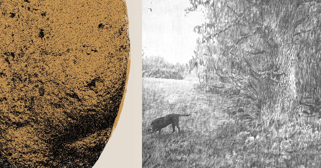 »Z razumevanjem svoje prsti in zemlje se lahko nekaj naučimo tudi o svojih koreninah«