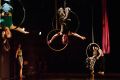 Branko Potočan in Fourklor: Vsi za enega, eden za vse; Plesni teater Ljubljana 