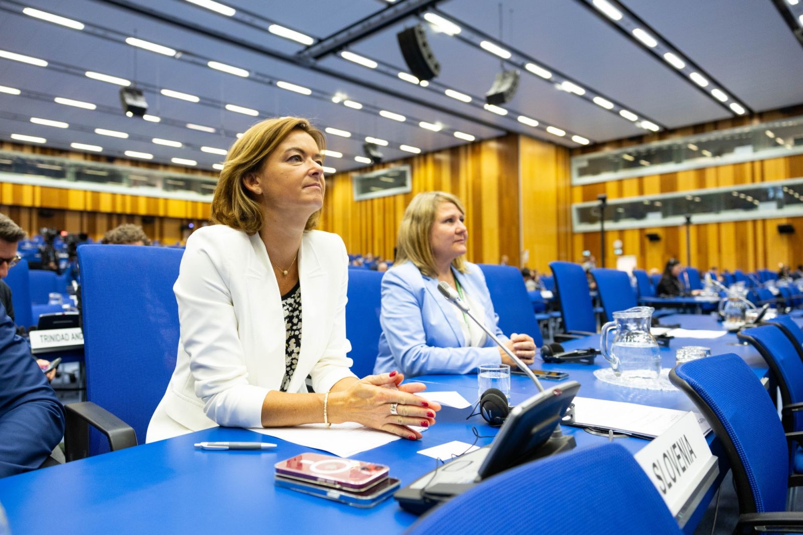 Tanja Fajon pozvala države članice Združenih narodov, naj priznajo Palestino