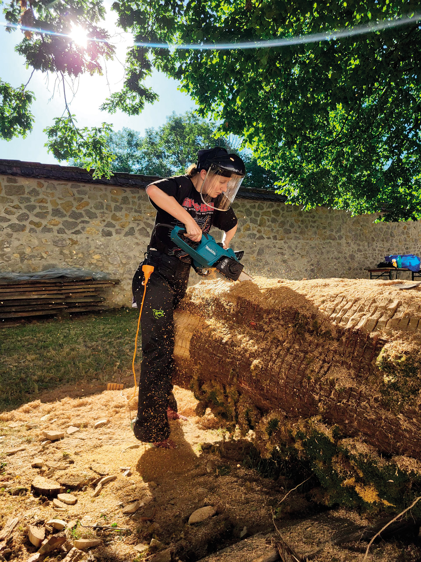 Nina Tovornik na simpoziju ustvarja kip iz masivnega kosa hrastovega lesa z delovnim naslovom Jejte, moj’ga brata konji. Lahko ga razumemo kot kritiko sodobnega neoliberalnega sveta in njegove posledice – nenasitnega potrošništva.