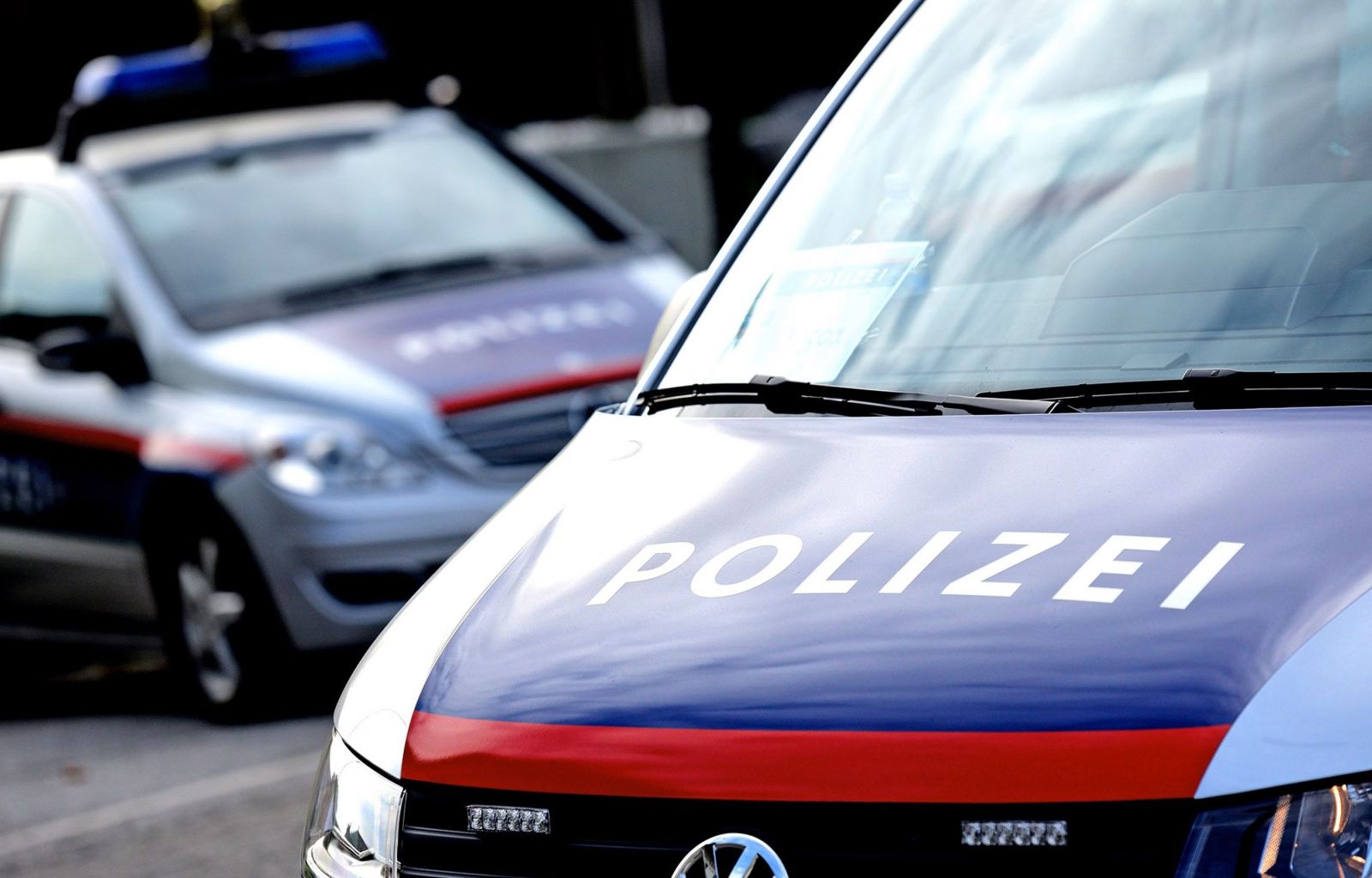 Poziv k razkritju ozadja policijske racije na taboru slovenskih študentov na avstrijskem Koroškem