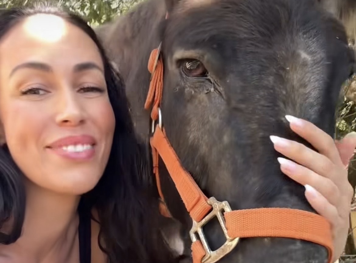 Tina Gaber / »Pravijo, da sem podobna konjičkom, malo pa sem tudi osliček«