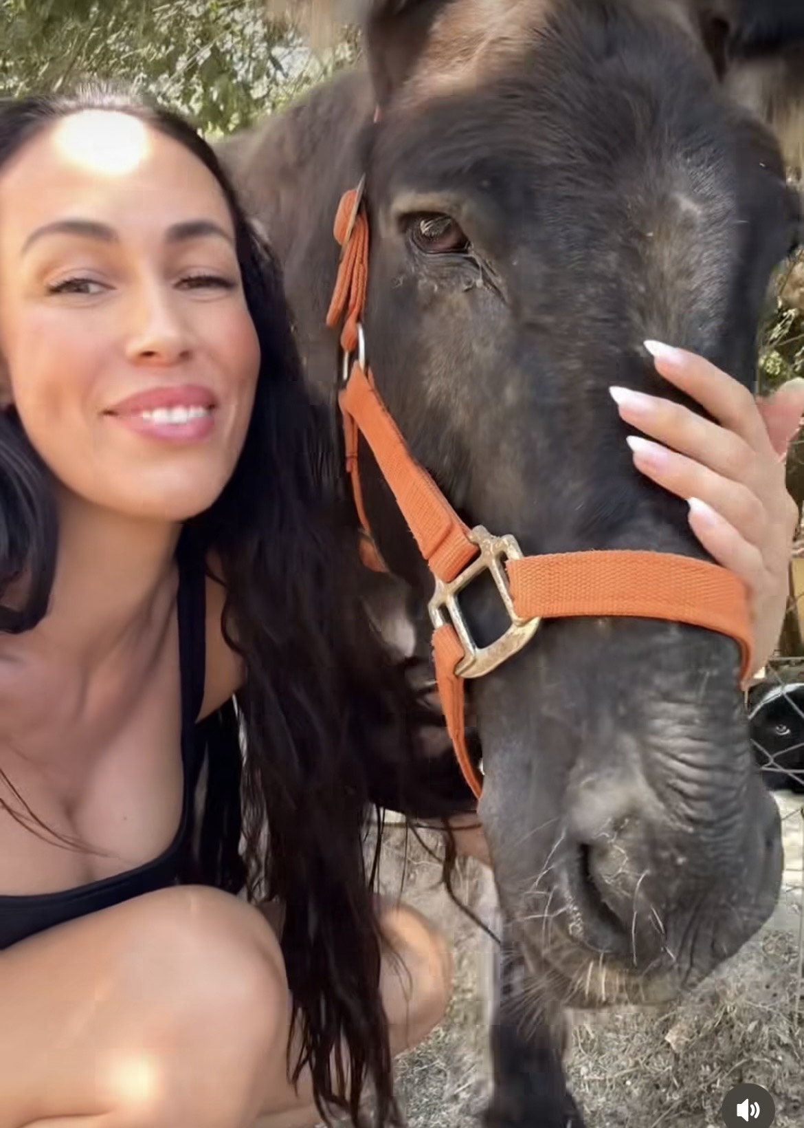 Izsek iz videoposnetka, ki ga je na Instagramu objavila Tina Gaber