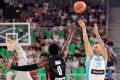 Luka Dončić v Stožicah