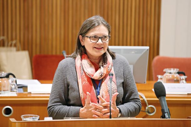 Zgodovinarka Andreja Valič Zver, je bila v času zadnje Janševe vlade zaposlena v kabinetu predsednika vlade