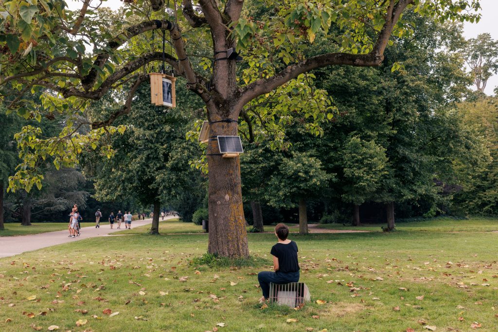 Kako komunikacija med ljudmi in živalmi vpliva na politiko?