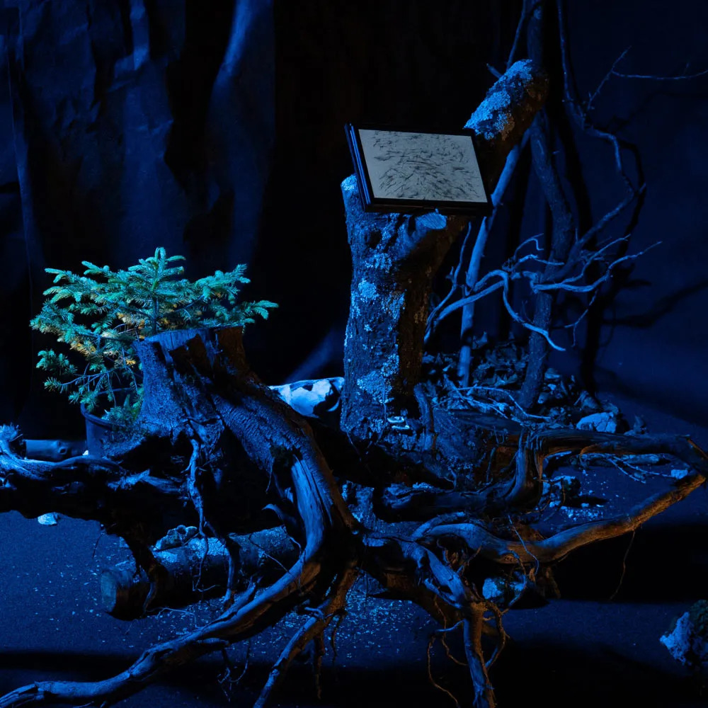 Na Ars Electronici letos sodeluje tudi več slovenskih umetnikov. Akademija umetnosti Univerze v Novi Gorici se petič zapored predstavlja z deli študentov pod naslovom Upočasni. Zadihaj. Občuti. Premisli. Ukrepaj!,