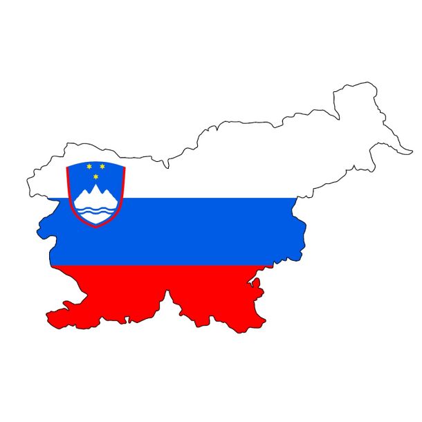 »Slovenija je majhna država. Nas je za eno malo večjo stolpnico na Japonskem ali Kitajskem.«