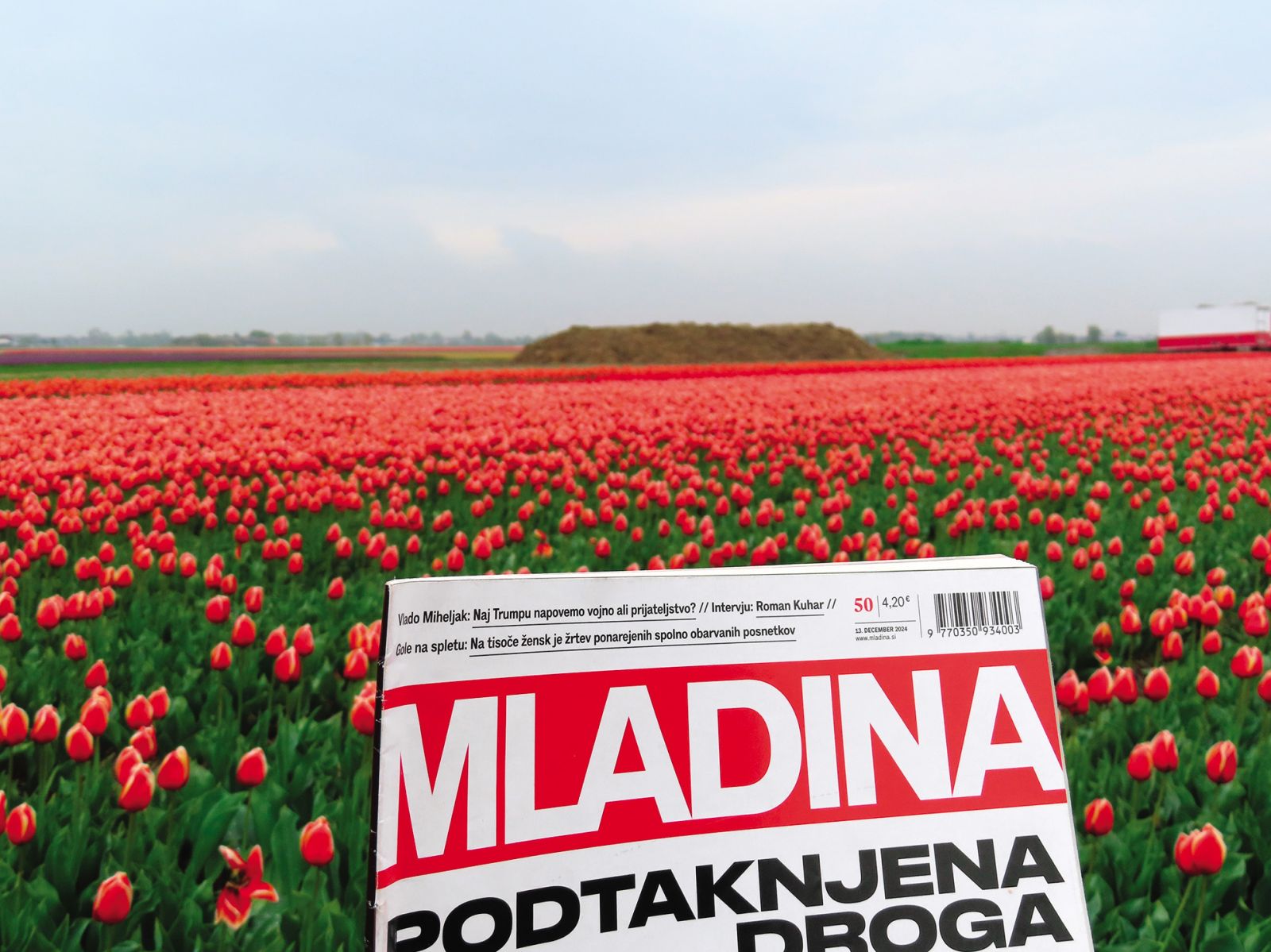 Vrtovi Keukenhof, NL | Andrej Panker