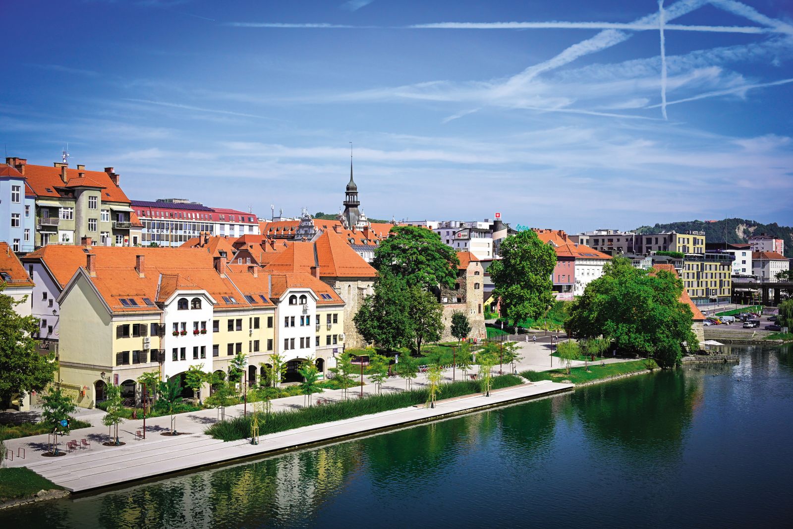 Dreves je več kot nekoč, prevladujejo pa gledičije, ki so odporne tudi na ekstremno slabe razmere. Ko se bodo razrasle, bodo z visokimi, rahlimi krošnjami dober kontrast vrbam žalujkam.
