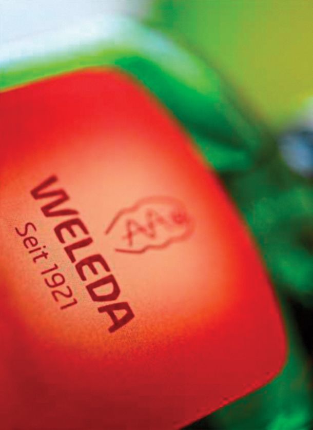 Weledin logotip