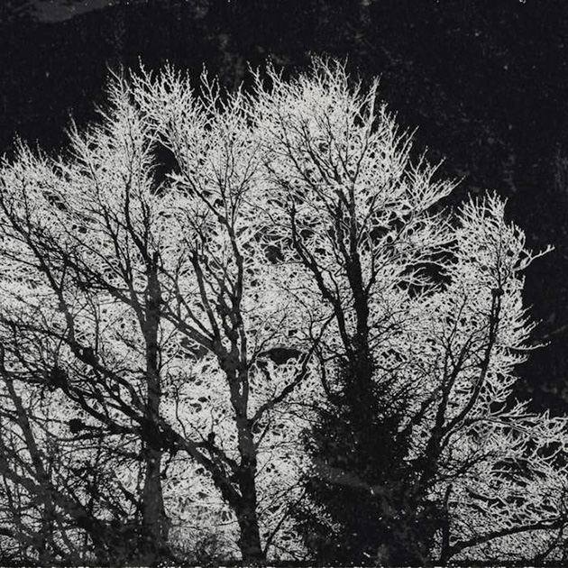 Stamor: Iz zemlje raste (From The Soil It Grows), EP