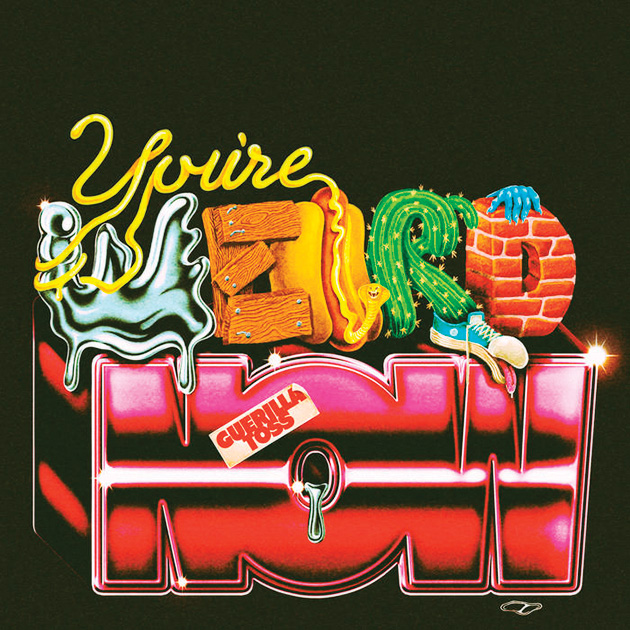 Guerilla Toss: You’re Weird Now