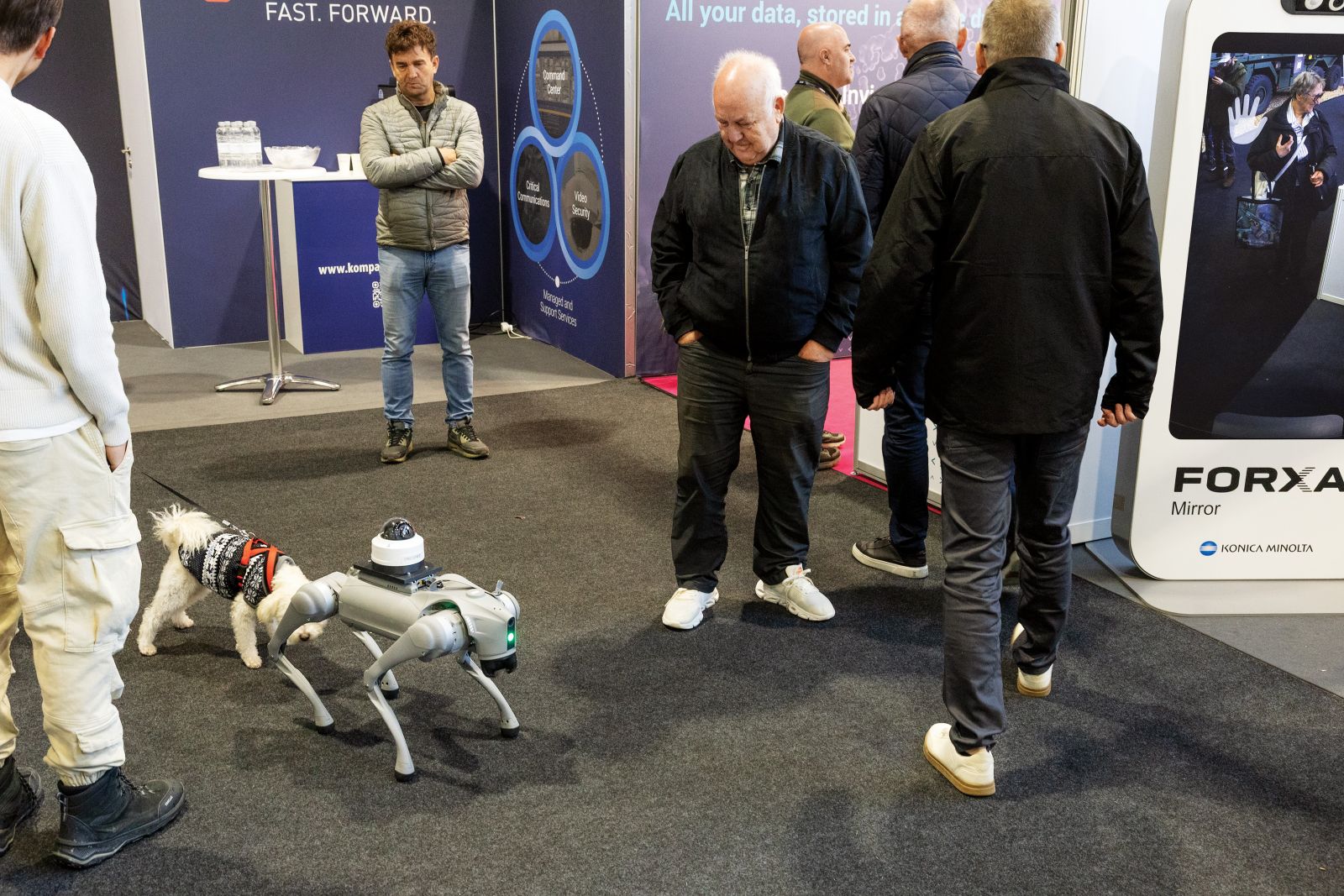 Slavko Kmetič opazuje interakcijo med robotskim in pravim psom