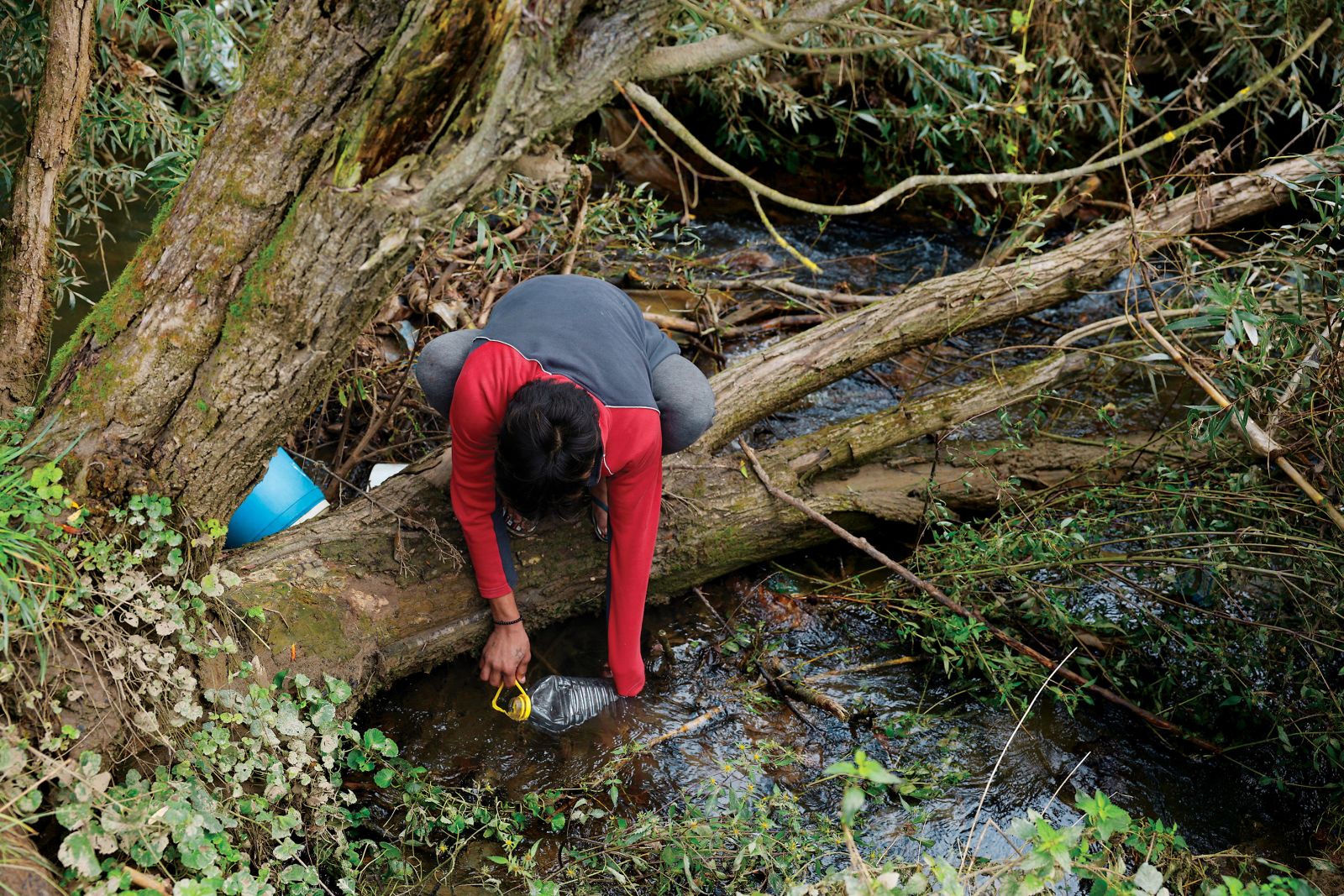 Voda v Dobruški vasi v občini Škocjan (fotografija je nastala septembra 2024)