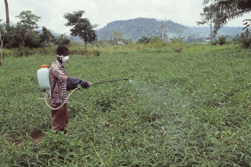 So cenena živila pomembnejša od etičnih načel?