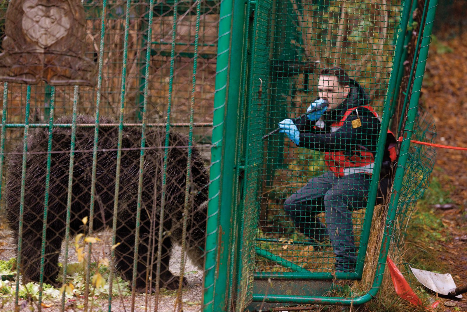 Reševanje medvedke Mici