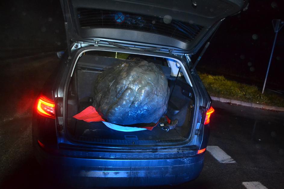 Ukradena glava v prtljažniku avta