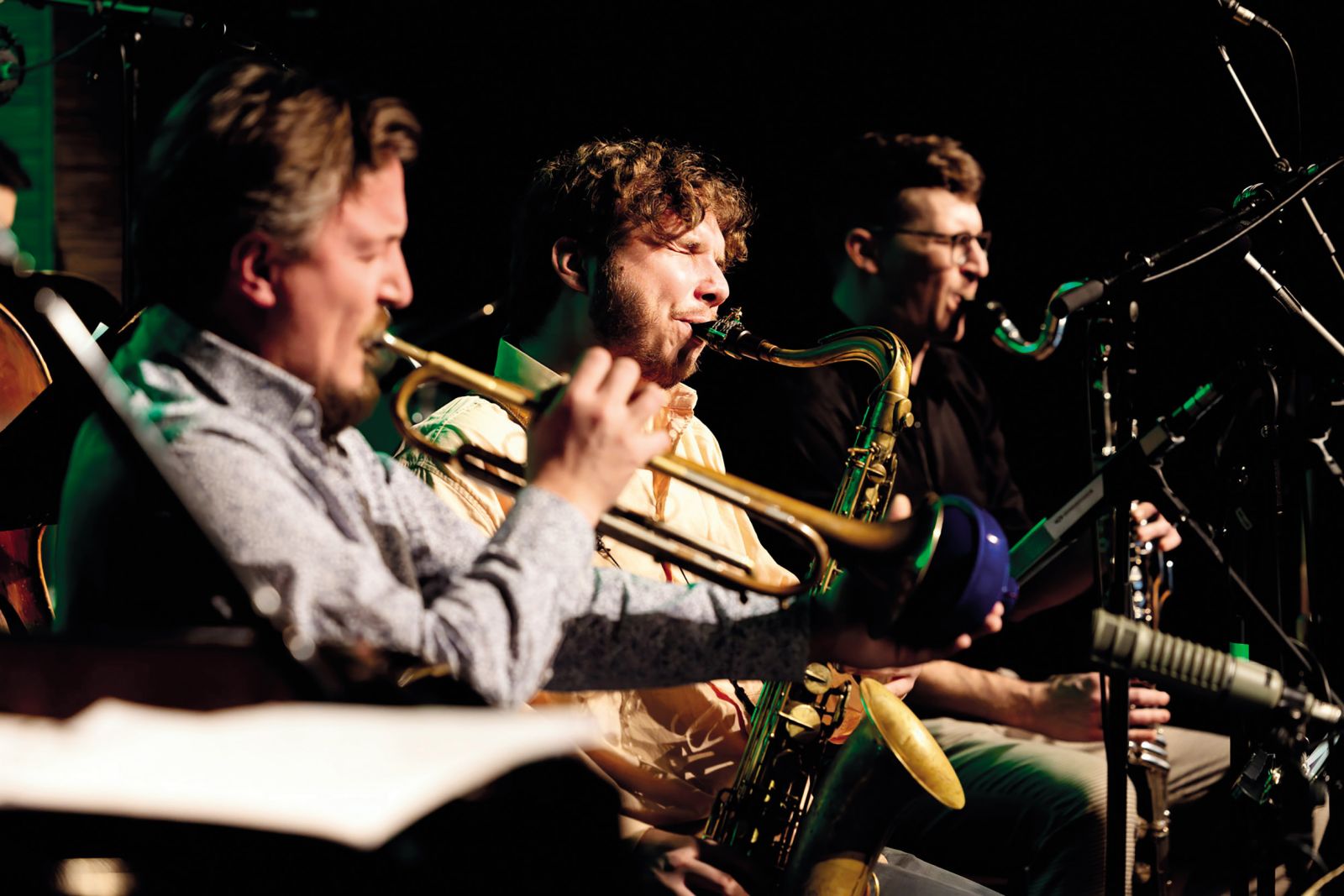 Lenart De Bock: A Plea for Tenderness, 11. Festival Zvončki in trobentice, Klub CD, Cankarjev dom, LJ | Nada Žgank