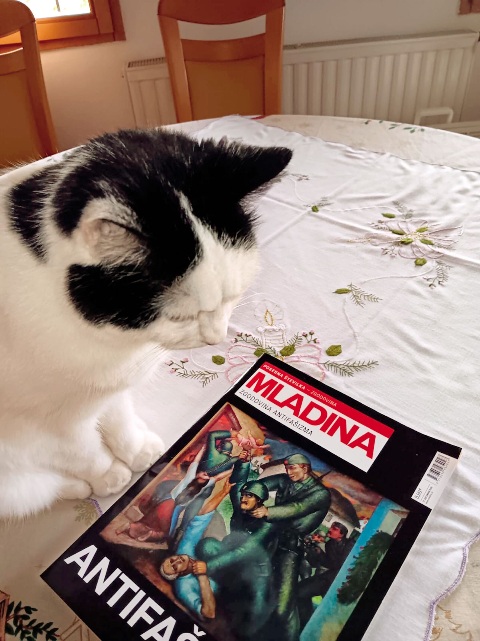 Zlatica je tudi na tekočem, Ptuj / | Ivo Ercegović