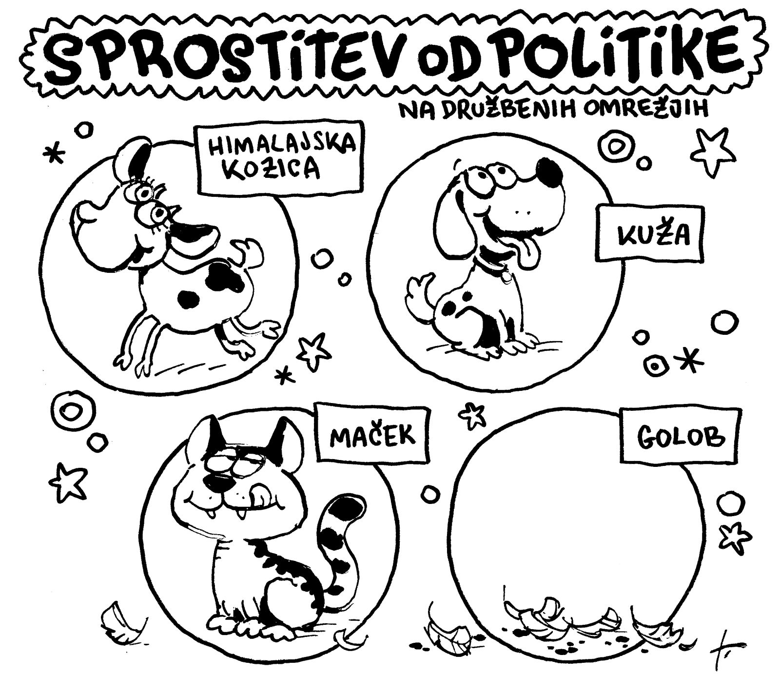 Izjave tedna