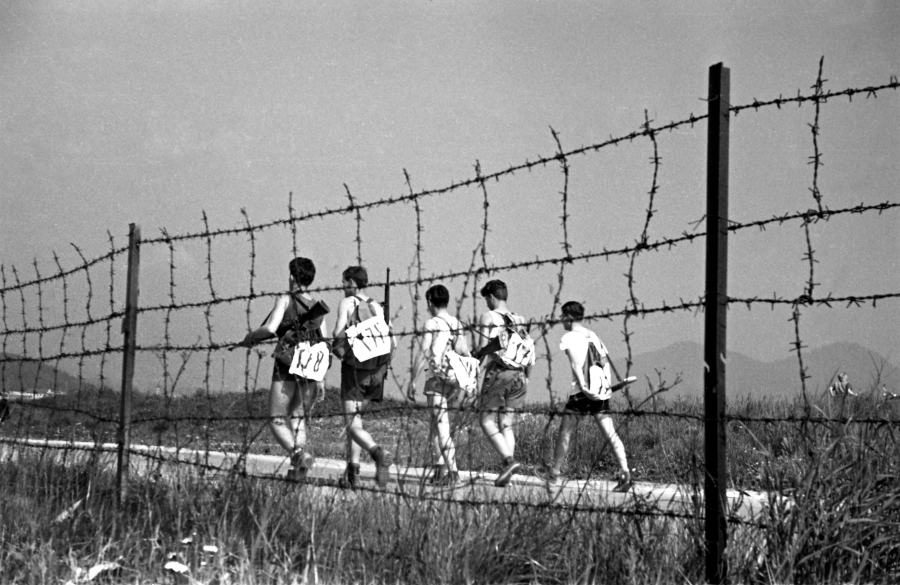 Tek ob žici leta 1958