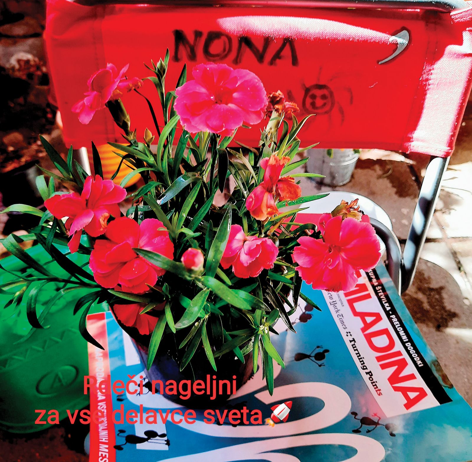 nona Nives