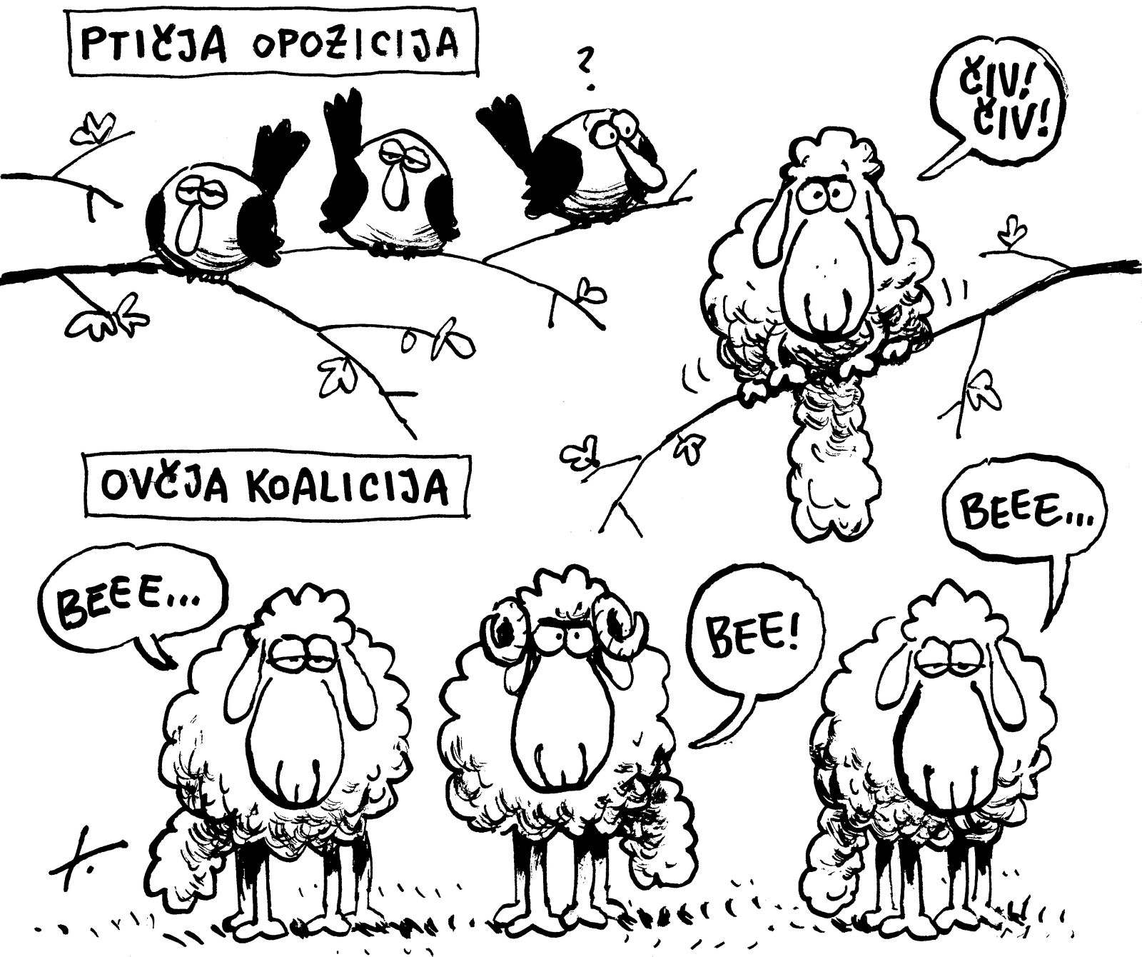 Izjave tedna