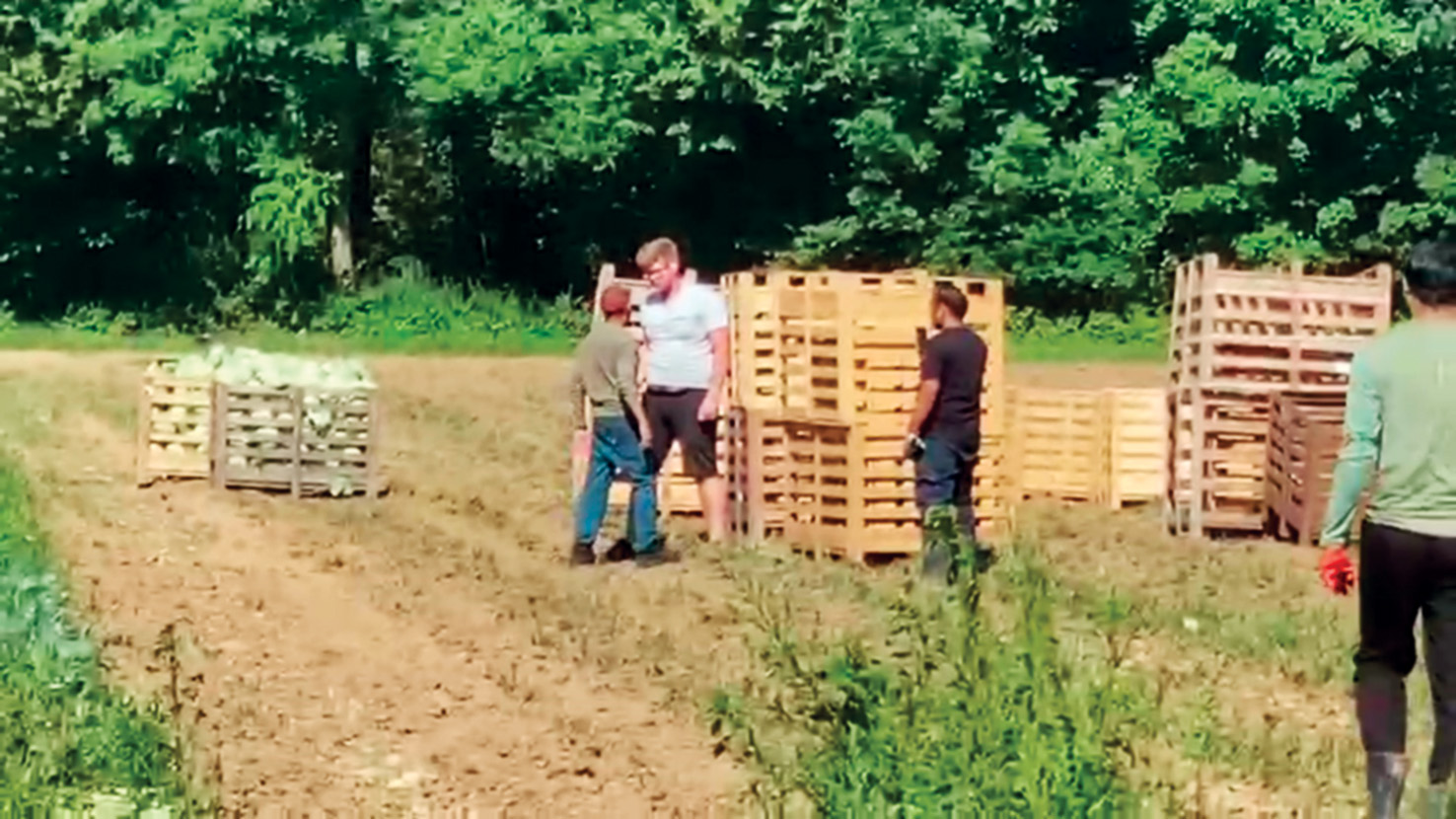 Izseki iz posnetka fizičnega obračunavanja s tujimi delavci na kmetiji Bobnar. Posnetek si lahko ogledate ob članku na naši spletni strani.