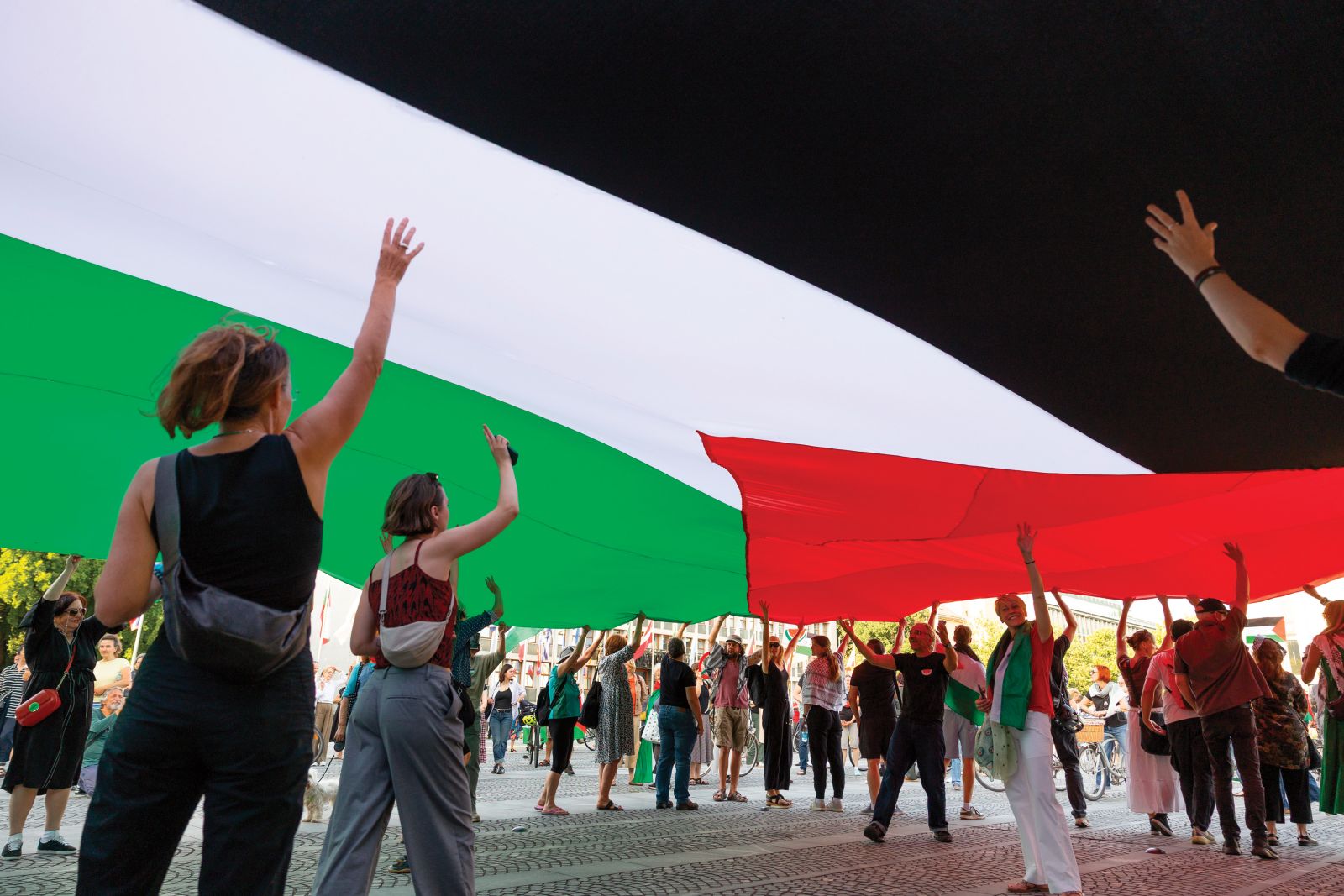 Solidarnost s Palestino v Ljubljani | Borut Krajnc