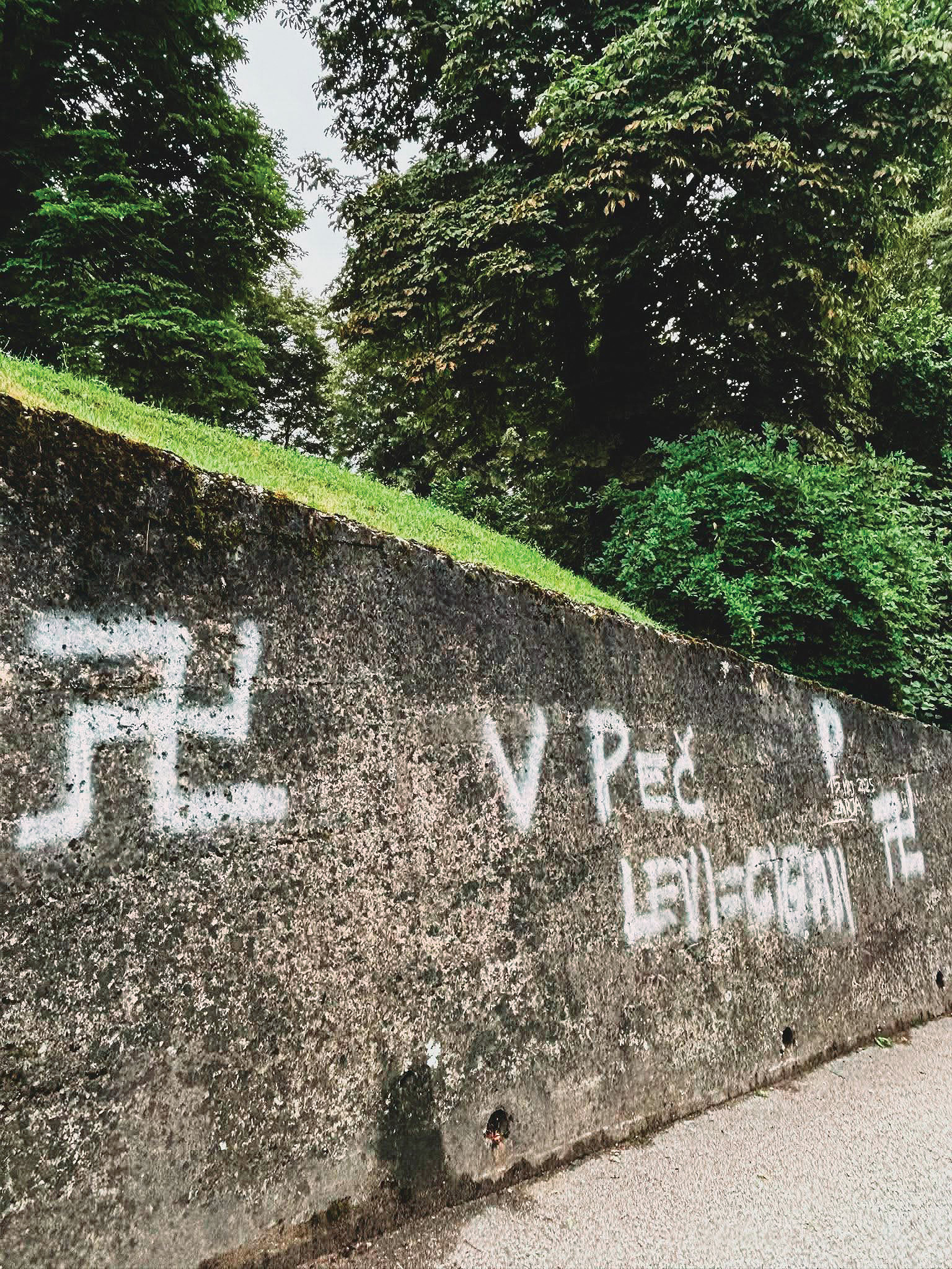 Svastike v Črnomlju