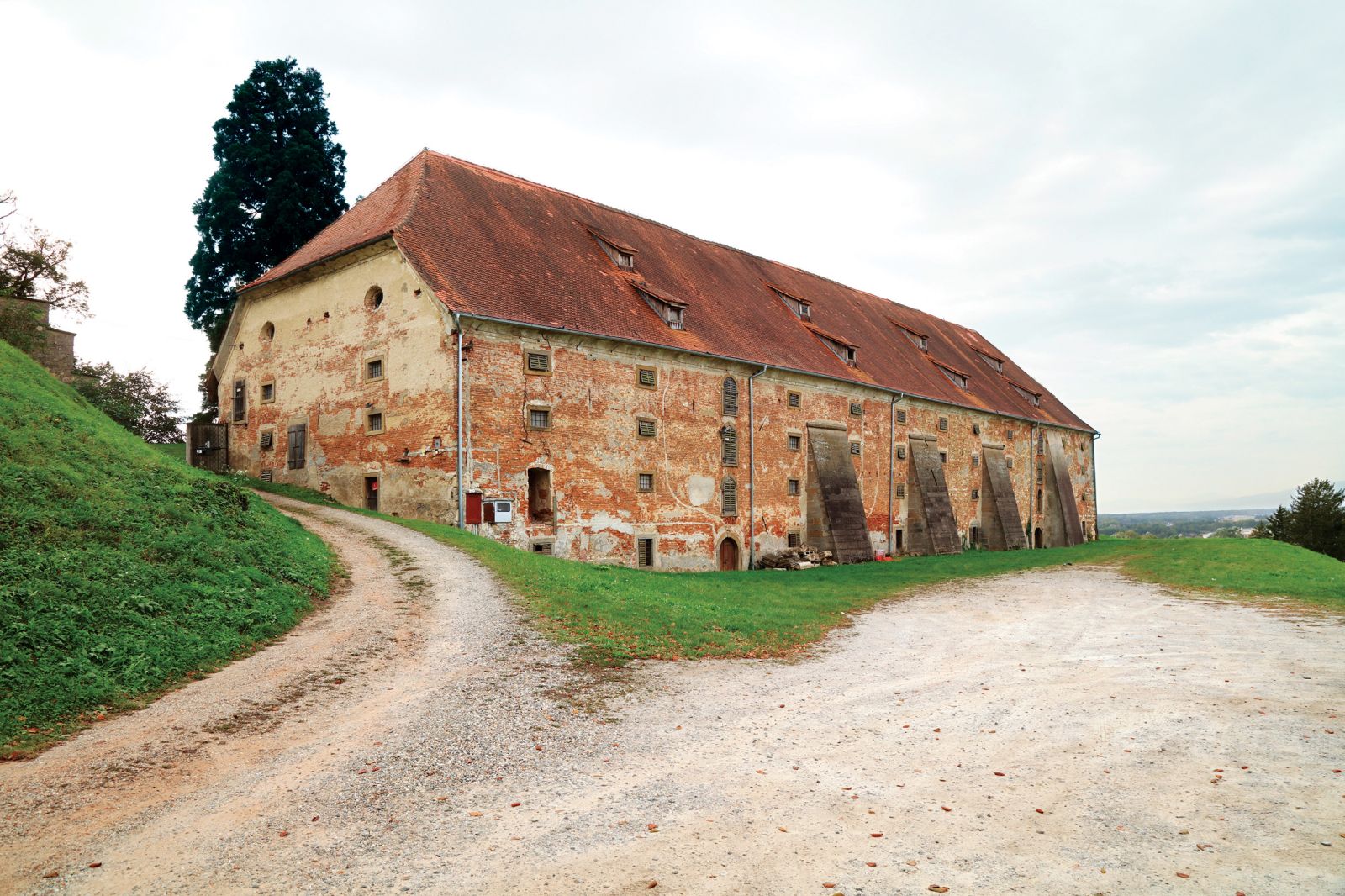 Stara žitnica, nov muzej?