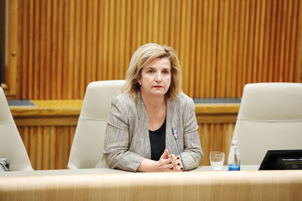 Lažni oglasi / Zloraba imena in podobe Bojane Beović