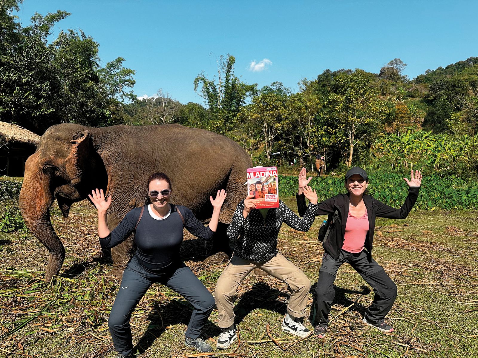 Elephant Peace Project, Čjang Raj, Tajska | Maria