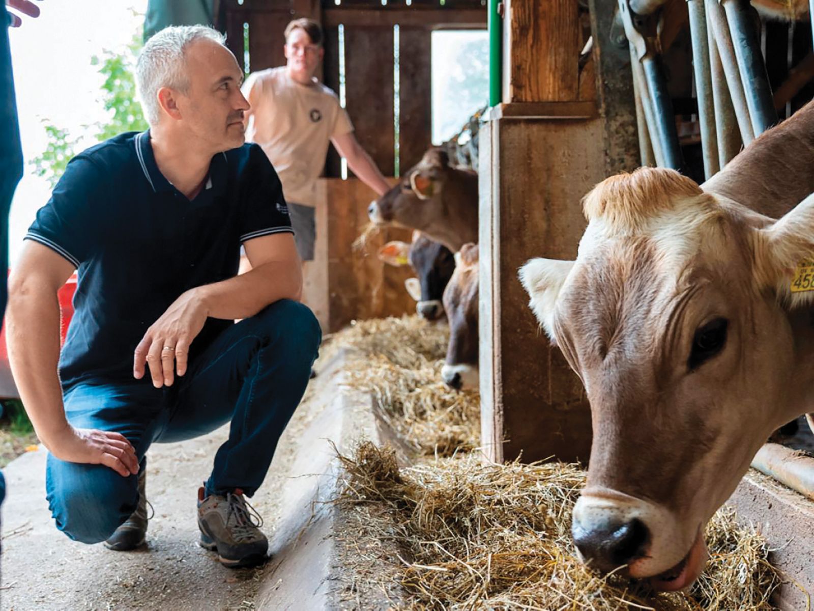 Uničevanje javne veterinarske mreže