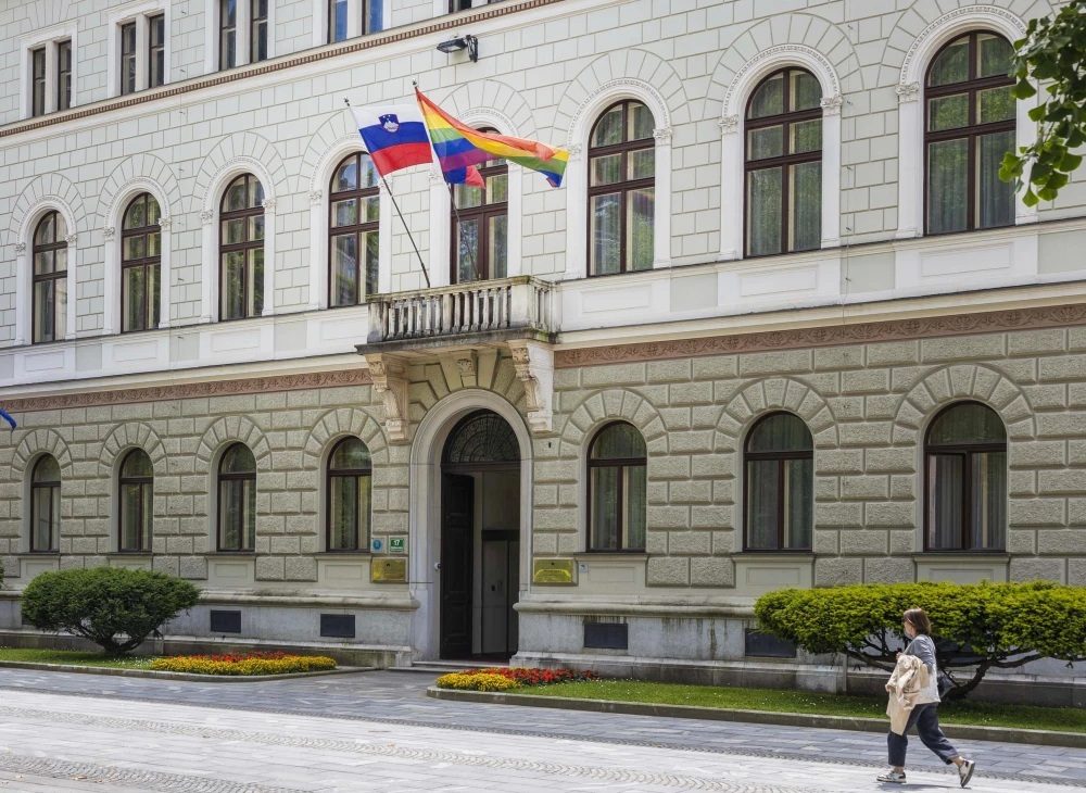 Nedržavne zastave / &nbsp;Zakaj jih prepovedati?