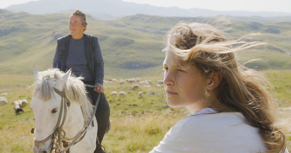 Festival Sundance / Nagrajeni tudi slovenski manjšinski koprodukcij
